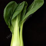 pac choi