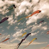 kites