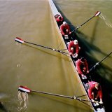 Life in the fast lane