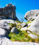 Castle Rocks, New Zealand