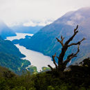 Doubtful Sound, New Zealand