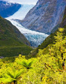 Fox Glacier