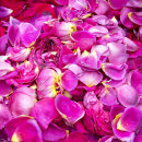 1221 Rose Petals