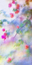 4495 Bougainvillea