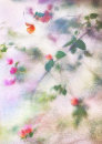4697 Bougainvillea