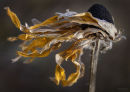 Formed On The Wind