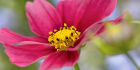 9483 Cosmos