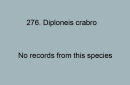 276. Diploneis crabro