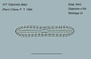 277. Diploneis debyi