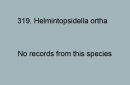 319. Helmintopsidella ortha