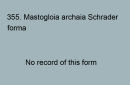 355. Mastogloia archaia forma