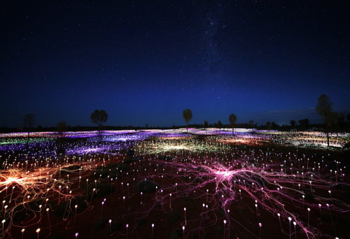 Bruce Munro lighting 2