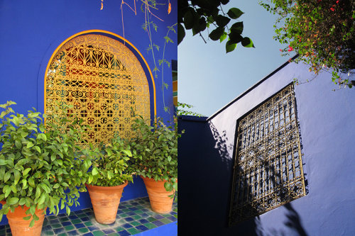 Majorelle Garden 1 (Clikpic 800)
