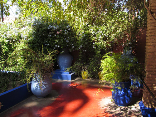 Majorelle Garden 2 (Clikpic 800)