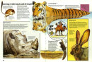 Mysteries & Marvels - Usborne Publishing