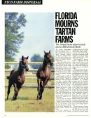 Racing & Breeding Update International 2 - Haymarket Publishing