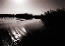 Reflections