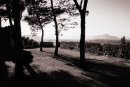Shadows