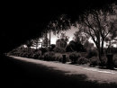 Shadows in Sicily