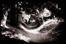 Through the woods