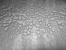 Water droplets