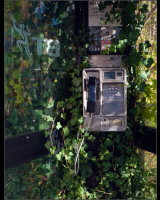 Green Phone Box