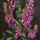 Fox Gloves