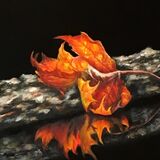 The Last Leaf