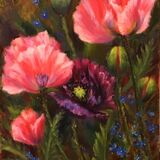 Pink Poppies