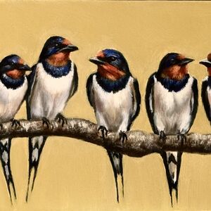 Five swallows on a branch