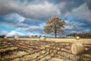 The Seasons of Life: Autumn