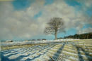 The Seasons of Life: Winter