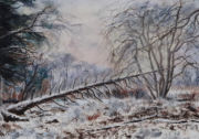 Winter Mood 2