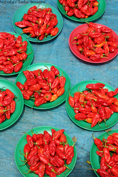 Chillis, Brazil
