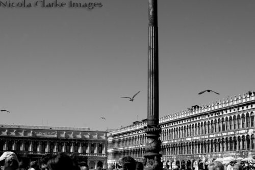 St. Mark's Square