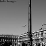 St. Mark's Square