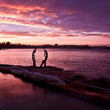 Fairy Bower, Manly