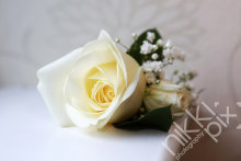 Buttonhole