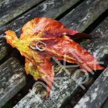Autumnal Wedding Rings!