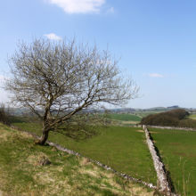 Ashover