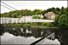 Cork