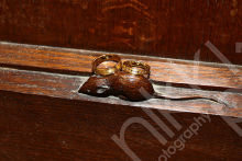 Thompson Mouse Wedding Rings