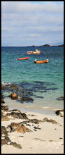 Iona