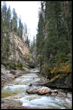 Johnston's Canyon