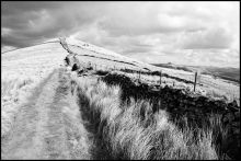LoseHill Pike