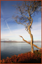 Scotland