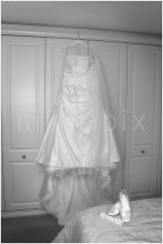 The Dress