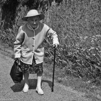 Visit to the neighbor