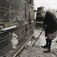 Madame B and her rabbits