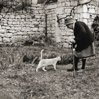 Madame B and her cat